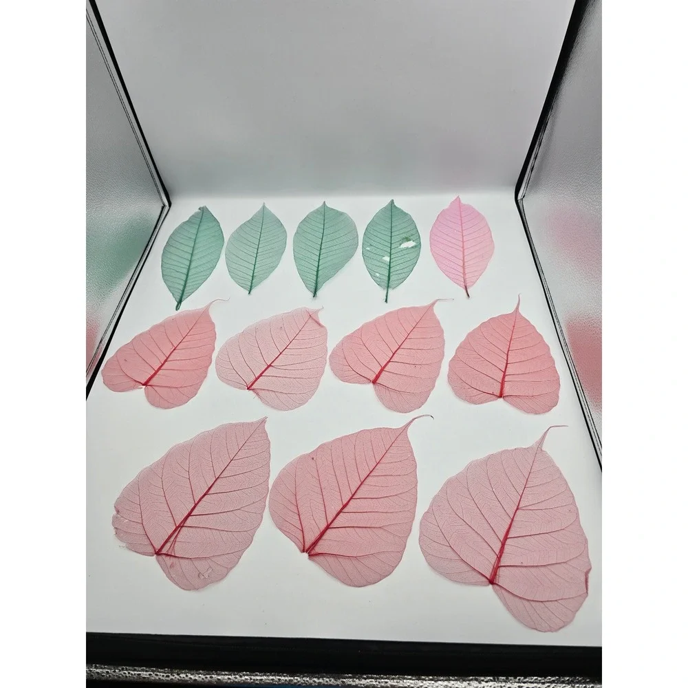 Skeleton Leaves Green Pink Botanical Decor Crafting Floral Arrangements